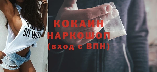 винт Новозыбков